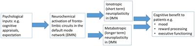 Placebo stimulates neuroplasticity in depression: implications for clinical practice and research